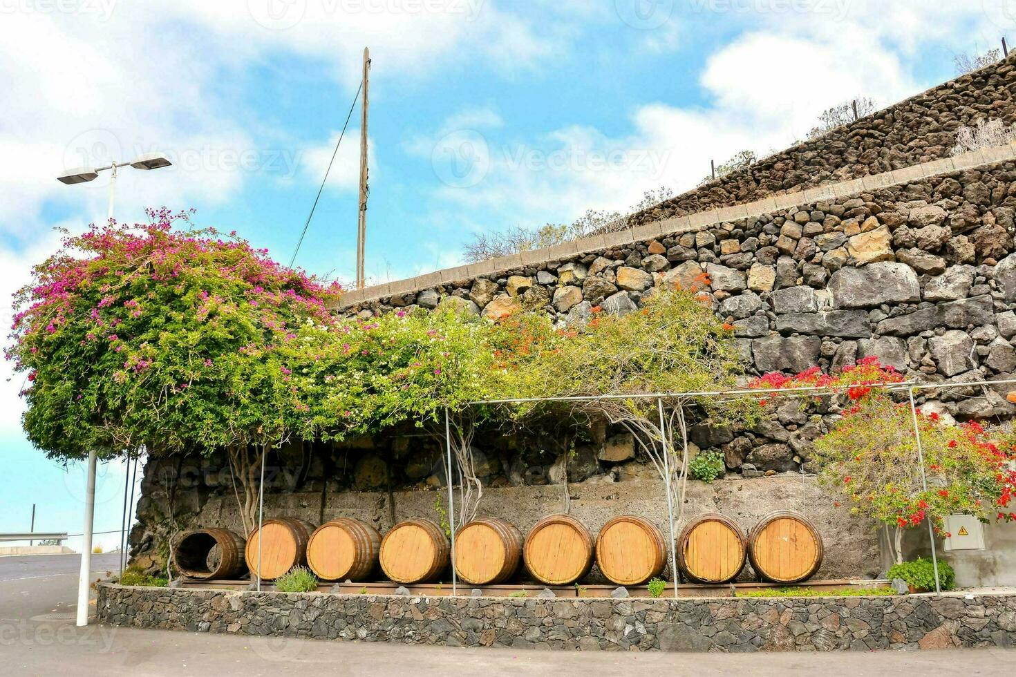 Wein Fässer im Vorderseite von ein Stein Mauer foto