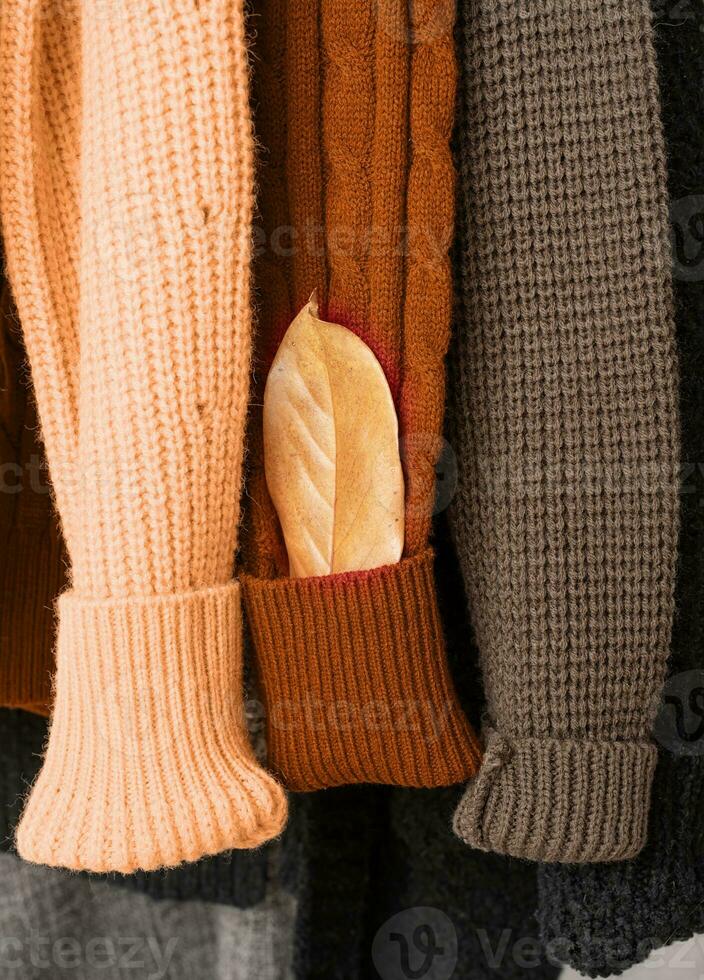 Farbe von das Jahr 2024, Pfirsich Flaum. anders bunt gestrickt Pullover hängen auf Kleiderbügel foto