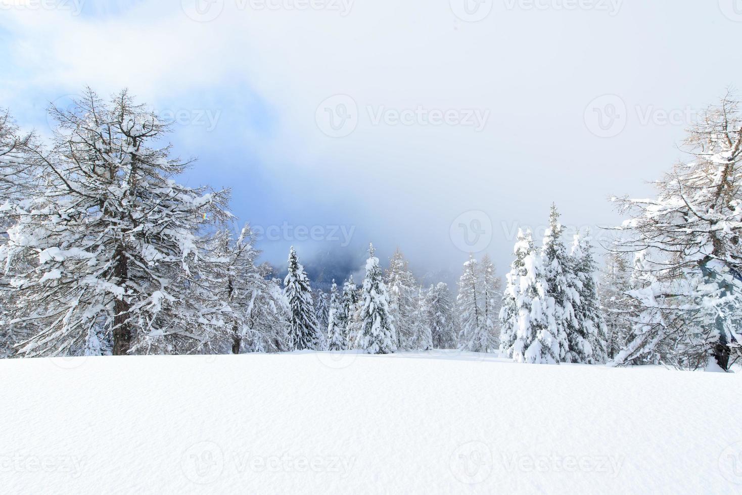 feenhafte verschneite Winterlandschaft in den italienischen Alpen foto