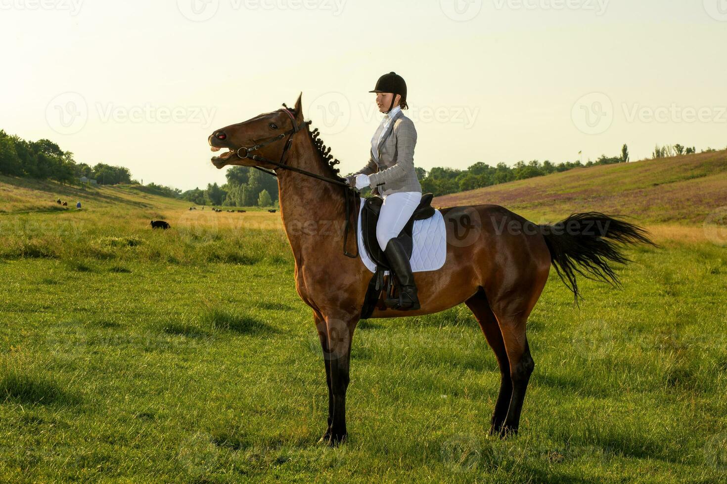 jung Frau Reiten ein Pferd auf das Grün Feld foto