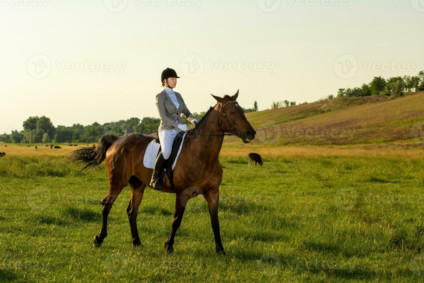 jung Frau Reiten ein Pferd auf das Grün Feld foto