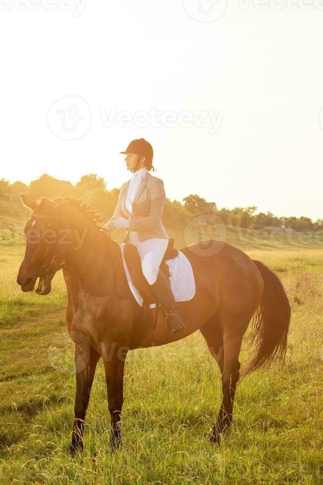 Pferdesport Sport. jung Frau Reiten Pferd auf Dressur fortgeschritten prüfen. Sonne Fackel foto