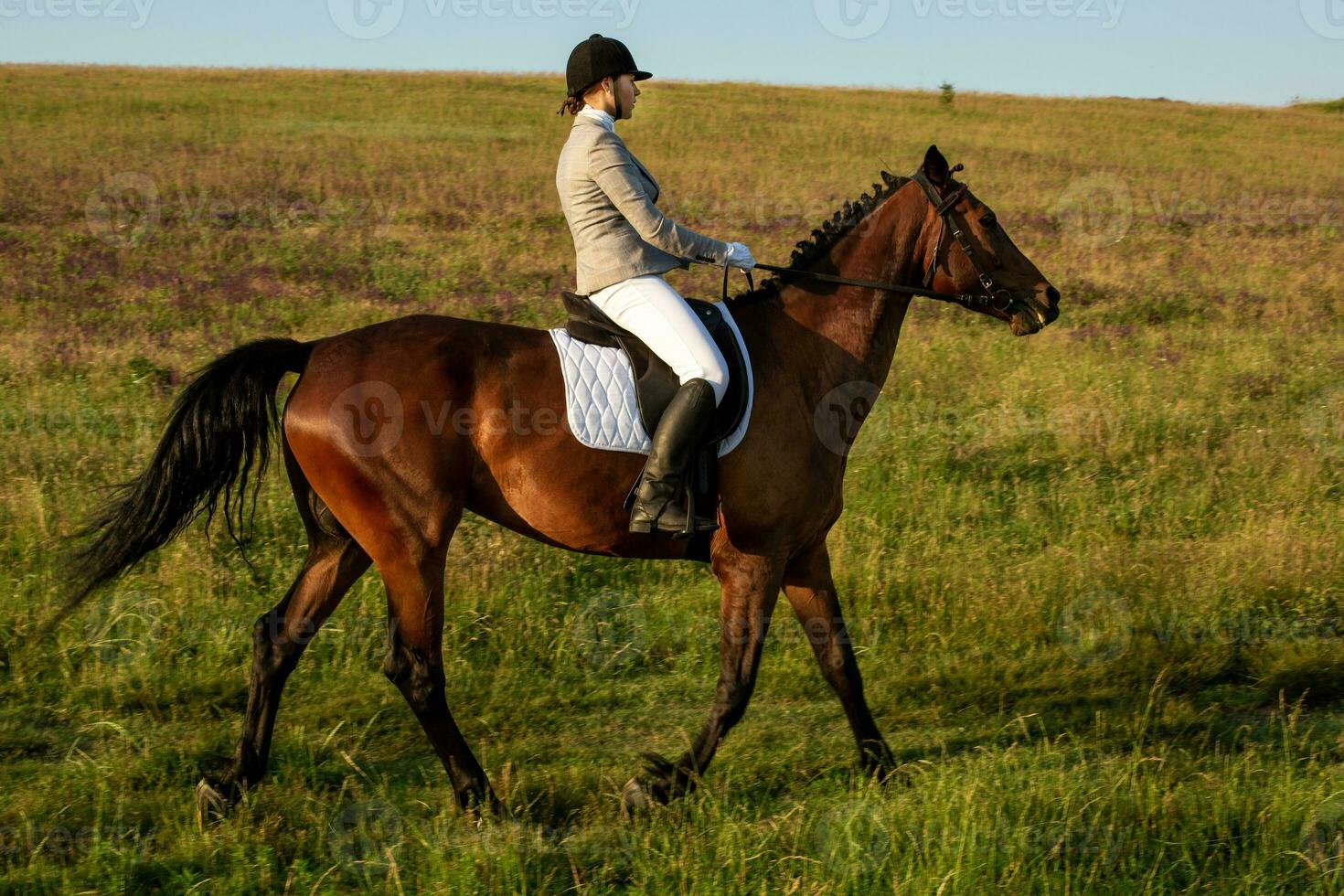 jung Frau Fahrer mit ihr Pferd im Abend Sonnenuntergang Licht. draussen Fotografie im Lebensstil Stimmung foto