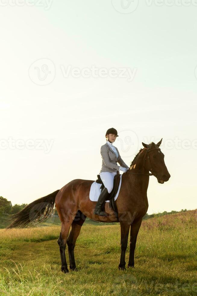 Pferdesport Sport. jung Frau Reiten Pferd auf Dressur fortgeschritten Prüfung foto