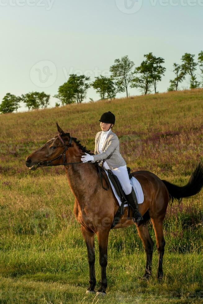 jung Frau Fahrer mit ihr Pferd im Abend Sonnenuntergang Licht. draussen Fotografie im Lebensstil Stimmung foto