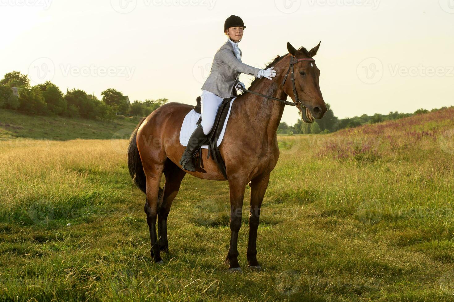 Pferdesport Sport. jung Frau Reiten Pferd auf Dressur fortgeschritten Prüfung foto