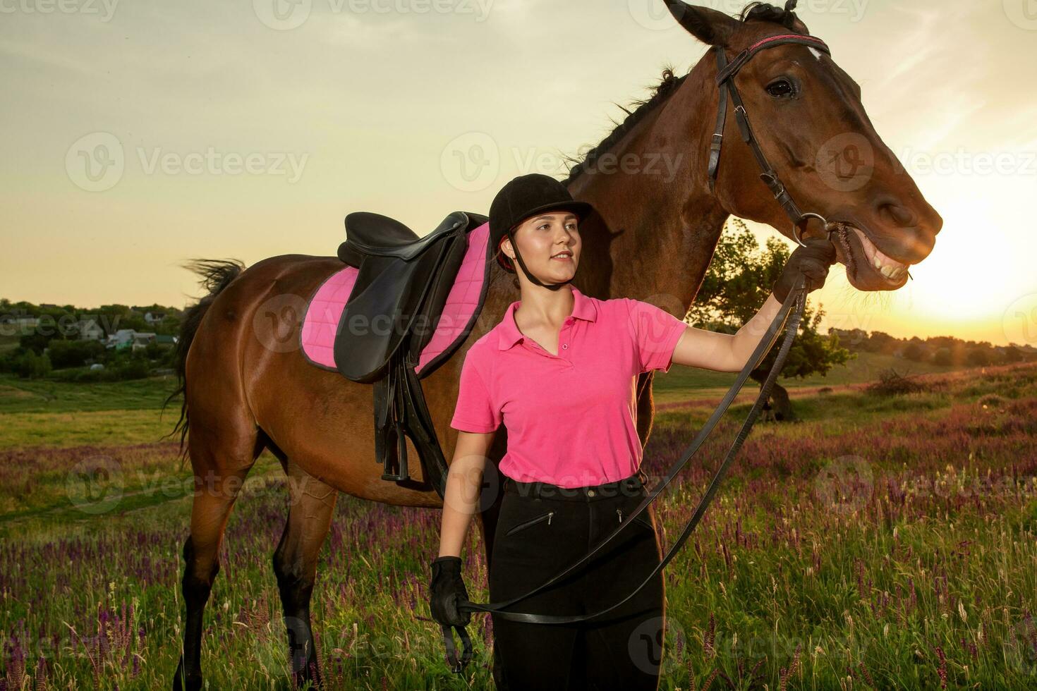 schön lächelnd Mädchen Jockey Stand Nächster zu ihr braun Pferd tragen Besondere Uniform auf ein Himmel und Grün Feld Hintergrund auf ein Sonnenuntergang. foto