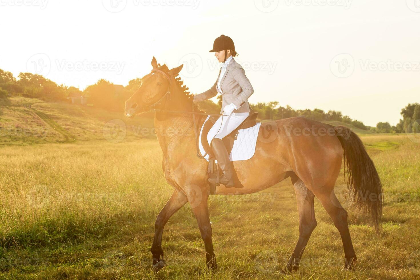 Pferdesport Sport. jung Frau Reiten Pferd auf Dressur fortgeschritten prüfen. Sonne Fackel foto