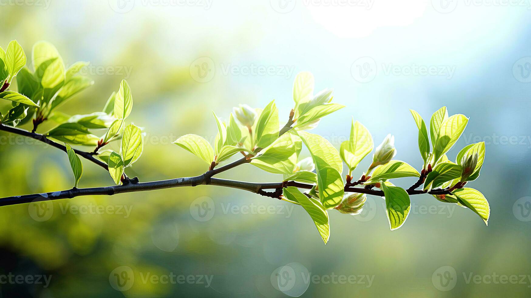 ai generiert ein Baum Ast im früh Frühling mit geschwollen Knospen, im das Sanft Strahlen von das Morgen Sonne. ai generiert. foto