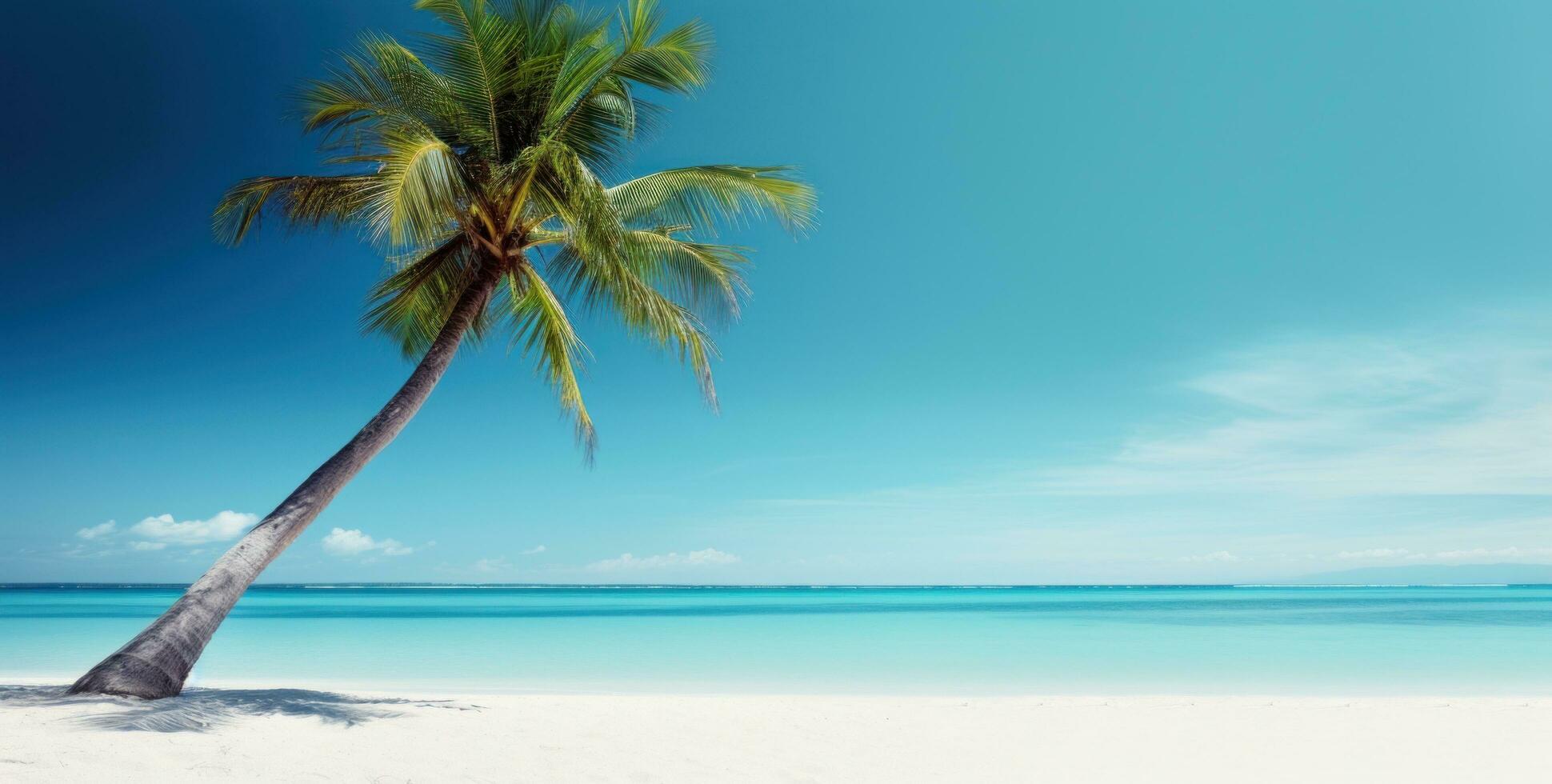 ai generiert ein Bild von ein Palme Baum auf ein Weiß sandig Strand foto