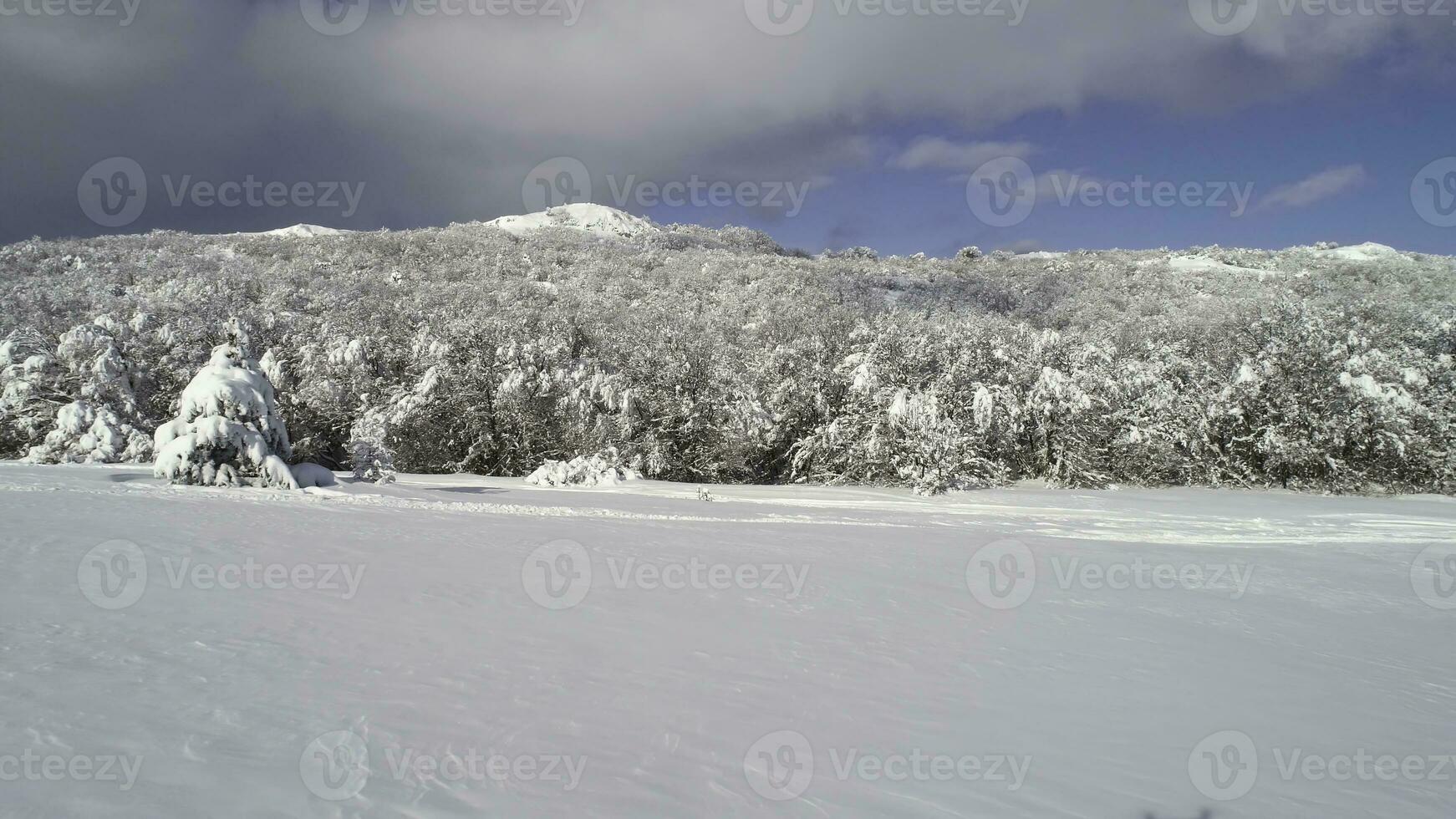 Fantastisch Winter Landschaft von hoch Berg und schneebedeckt Wald auf wolkig, Blau Himmel Hintergrund. Schuss. sonnig Tag im Weiss, Winter Felsen und Bäume bedeckt mit Schnee gegen hell Himmel. foto
