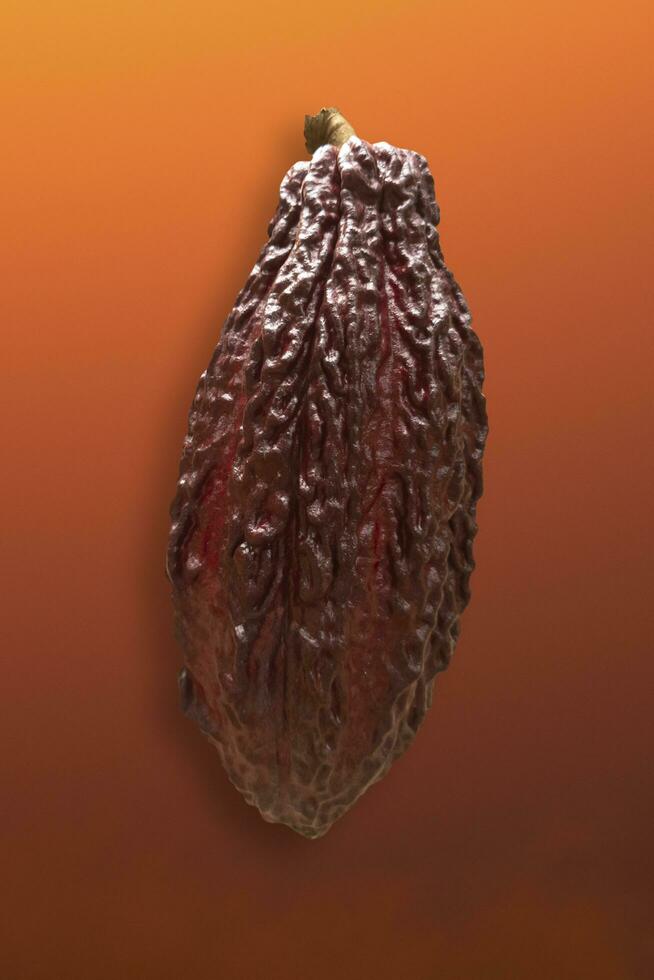 frisch dunkel rot Kakao Obst isoliert auf Orange Gradient Hintergrund foto