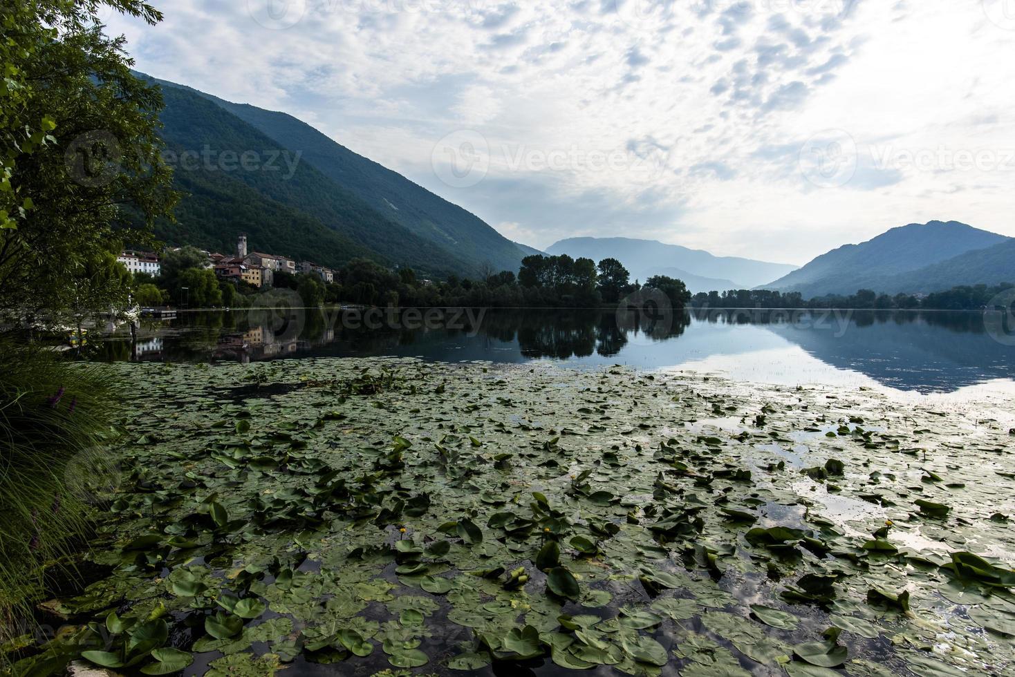 2021 07 25 Revine Lago Seerosen und Reflexionen 1 foto