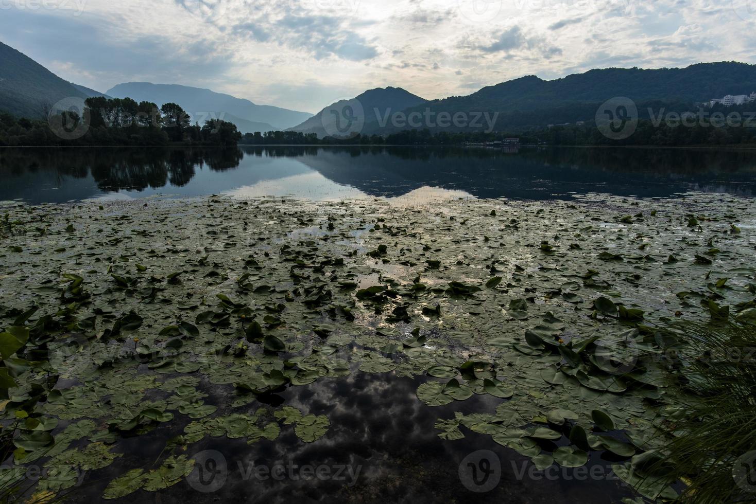 2021 07 25 revine lago seerosen und reflexionen foto