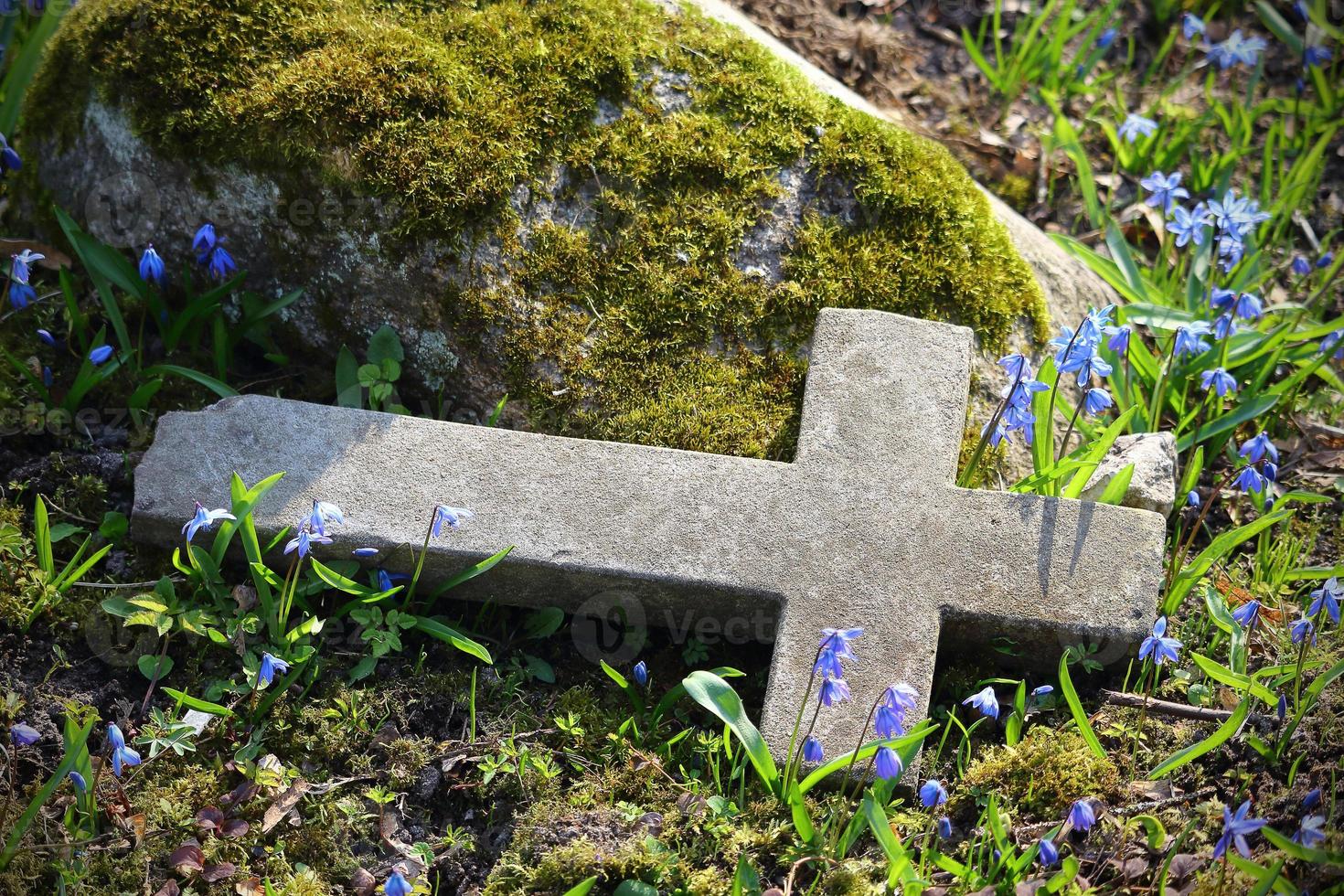 alter Friedhof gebrochenes Kreuz Grabstein mit blauen Frühlingsblumen foto