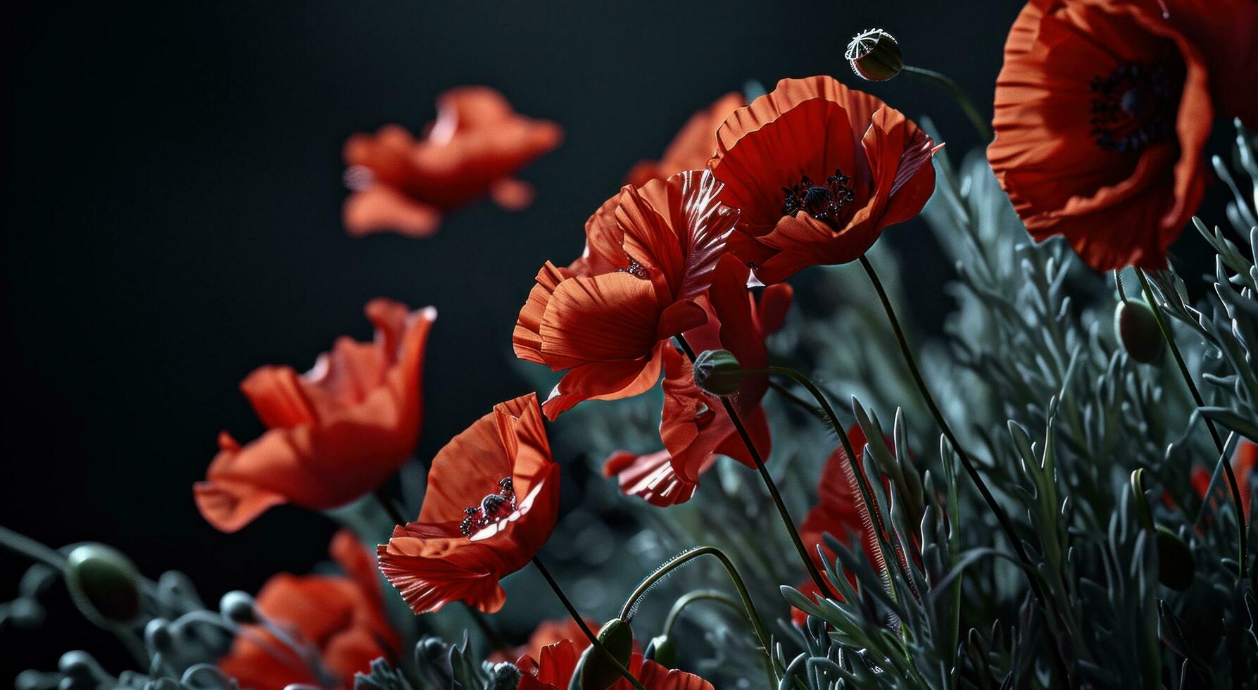 ai generiert rot Mohnblumen gegen schwarz Hintergrund foto