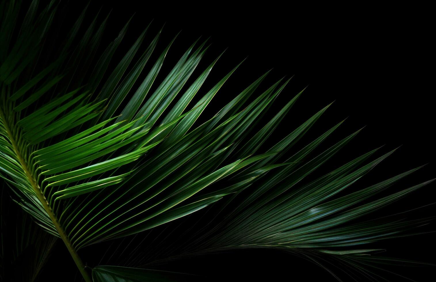 ai generiert Grün Palme Blätter auf ein schwarz Hintergrund, foto