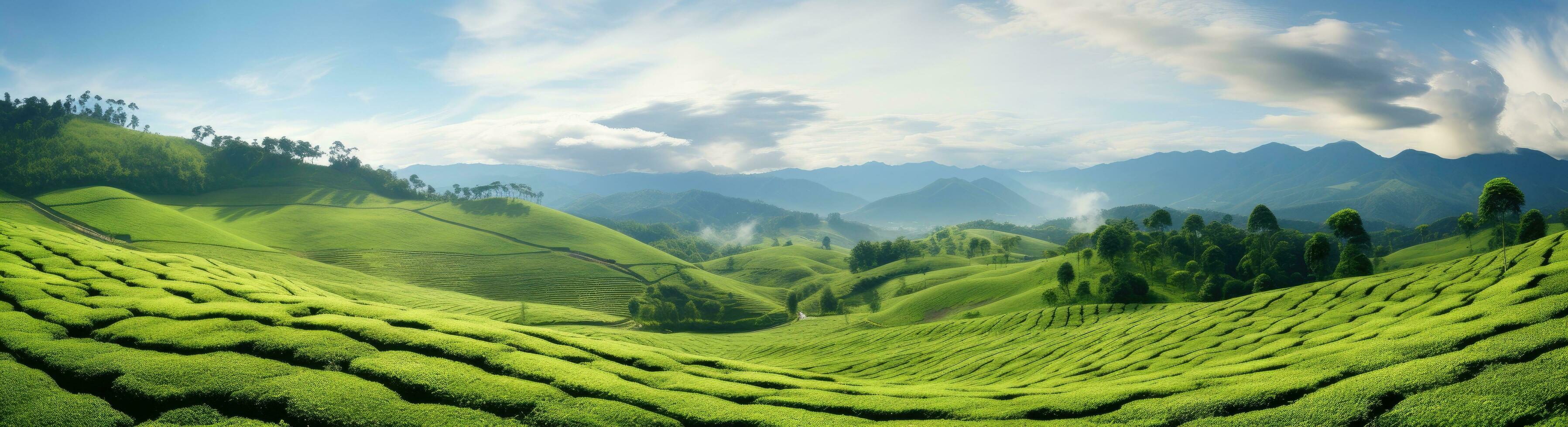 ai generiert ein schön Landschaft von Grün Hügel und Tee Felder foto