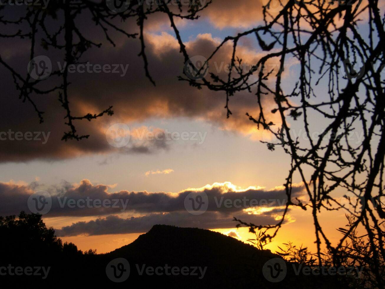 ein Sonnenuntergang Über ein Berg mit Bäume und Geäst foto