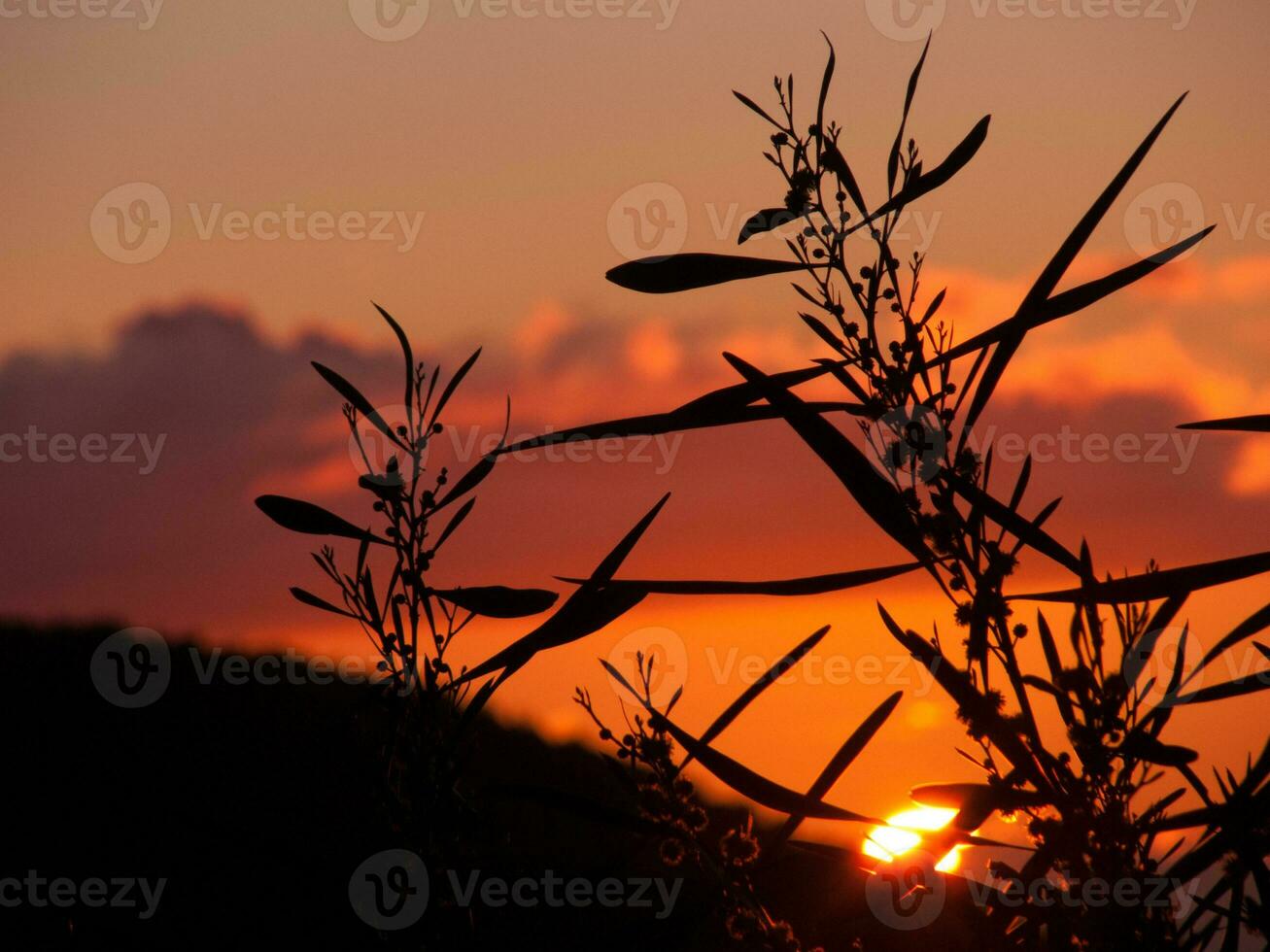 ein Sonnenuntergang mit ein Flugzeug im das Hintergrund foto