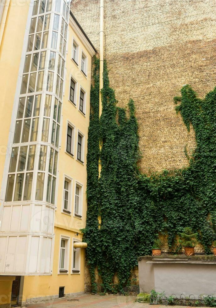 Stadtbild, Backstein Hof Mauer bedeckt mit Efeu foto