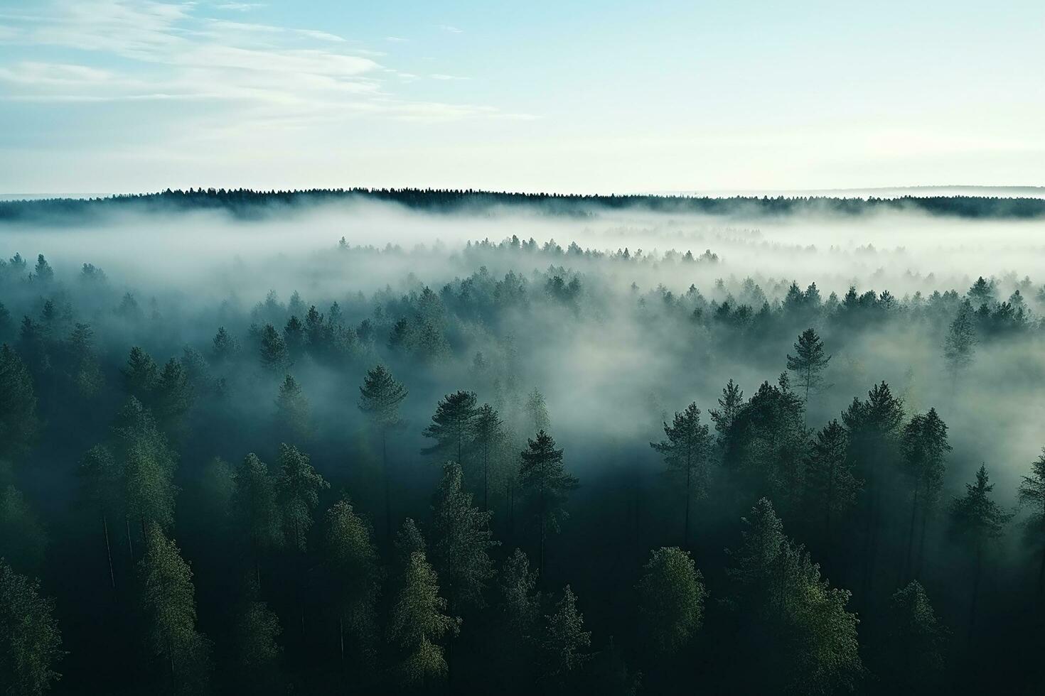 ai generiert Antenne Aussicht von dunkel Grün Wald mit neblig Wolken. das Reich natürlich Ökosystem von Regenwald Konzept von natürlich Wald Erhaltung und Wiederaufforstung. foto