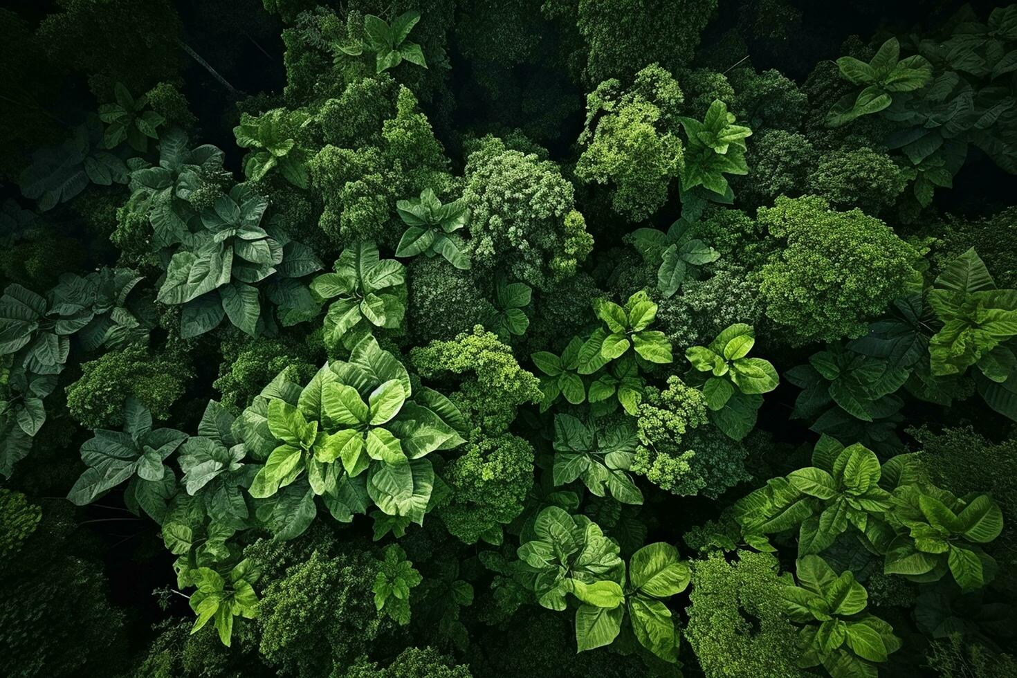 ai generiert Antenne oben Aussicht Wald Baum, Regenwald Ökosystem und gesund Umgebung Konzept und Hintergrund, Textur von Grün Baum Wald Aussicht von über foto