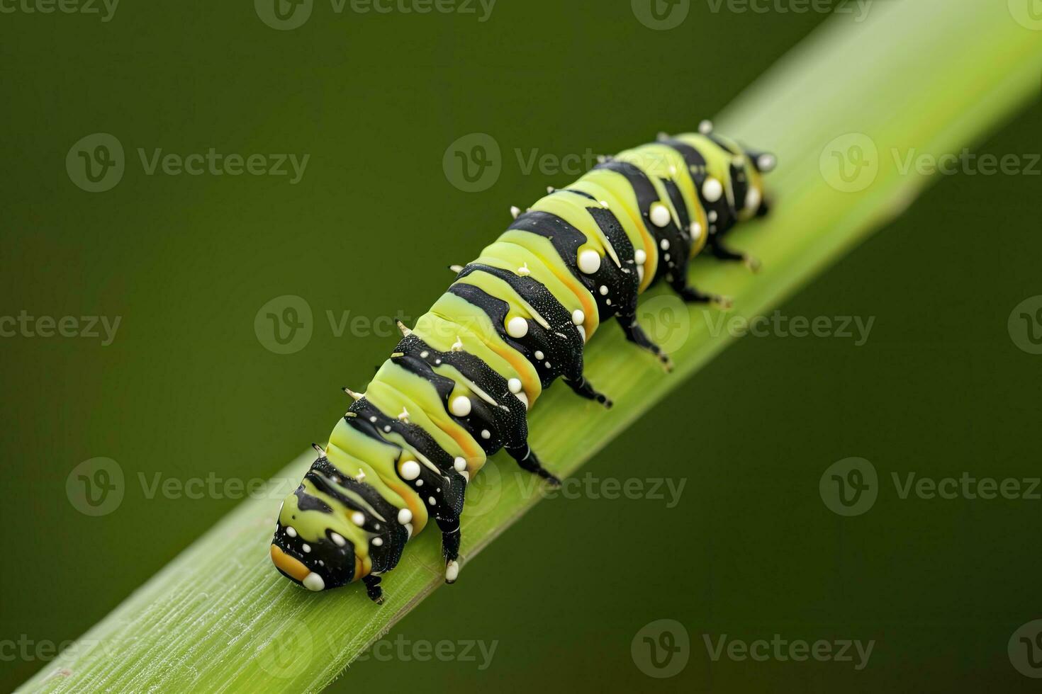 ai generiert Raupe Schwalbenschwanz Schmetterling. generiert ai. foto