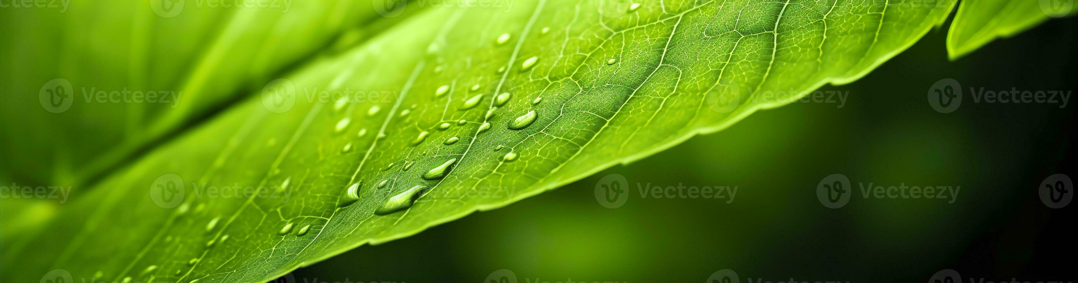 ai generiert Grün Blatt Natur Hintergrund. ai generiert foto