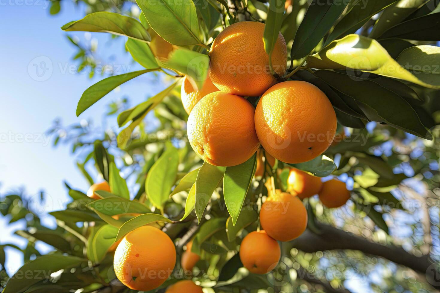 ai generiert Orange Obst auf Baum. ai generiert foto