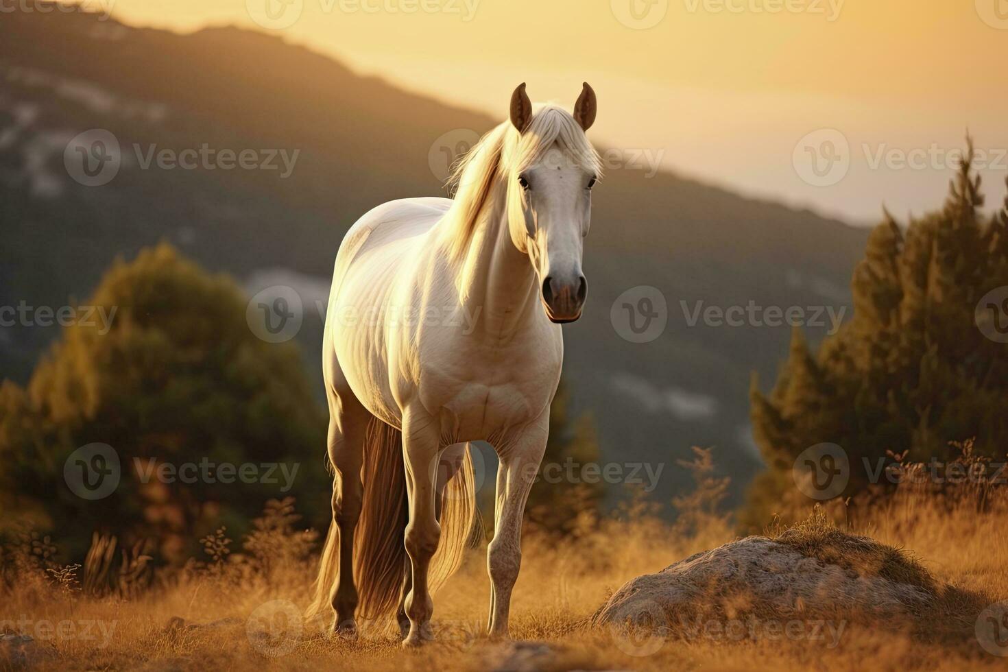 ai generiert Weiß Pferd oder Stute im das Berge beim Sonnenuntergang. ai generiert foto