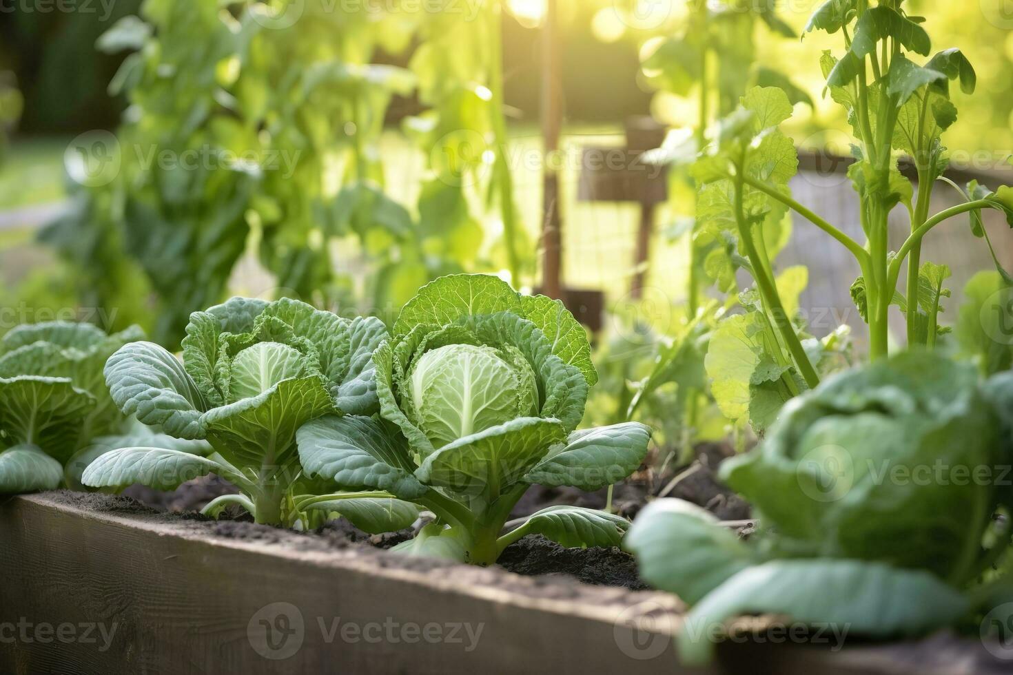 ai generiert frisch organisch Brüssel Sprossen wachsend im das Garten. wachsend besitzen Früchte, Gemüse. ai generiert foto