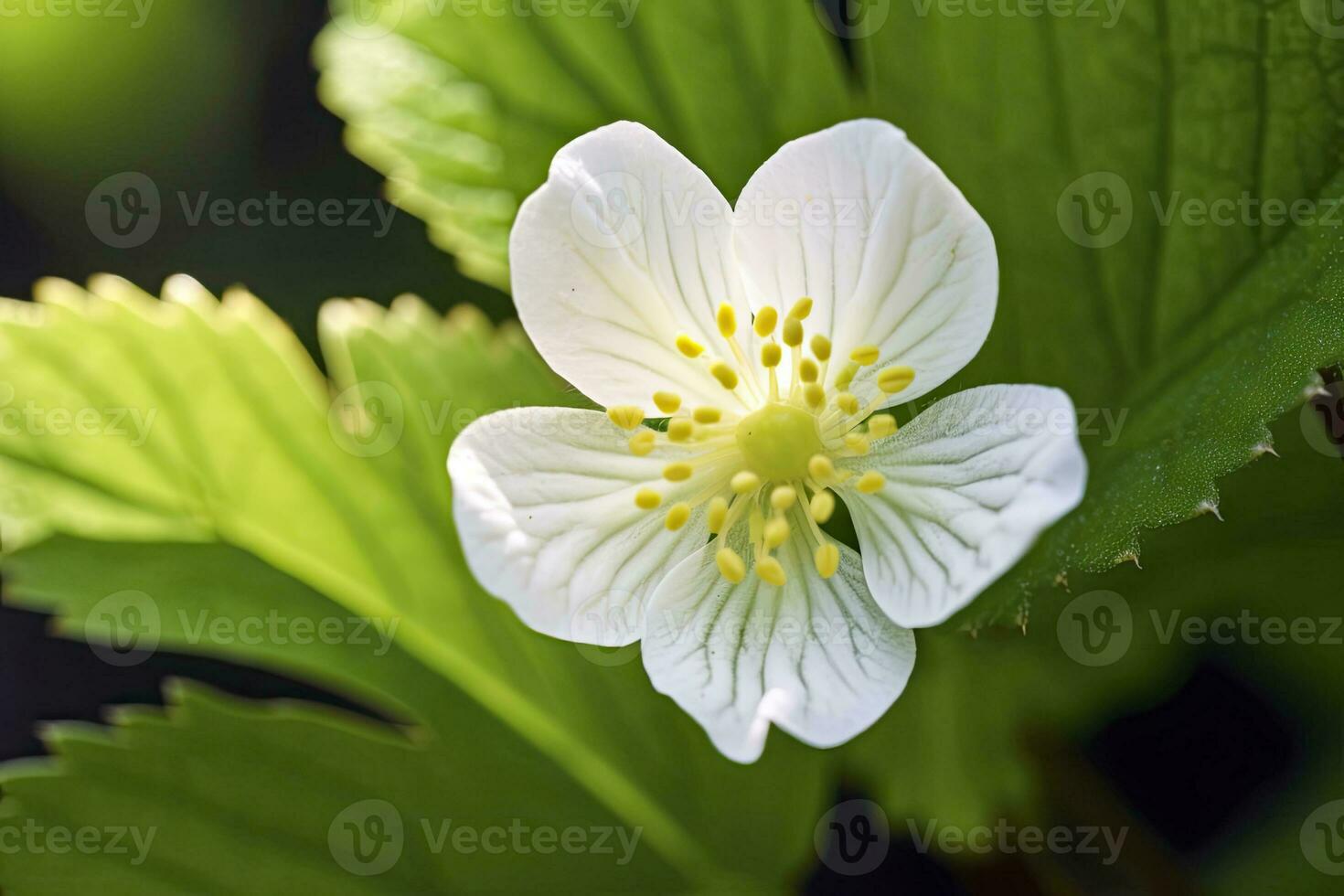 ai generiert Erdbeere Blume. ai generiert foto