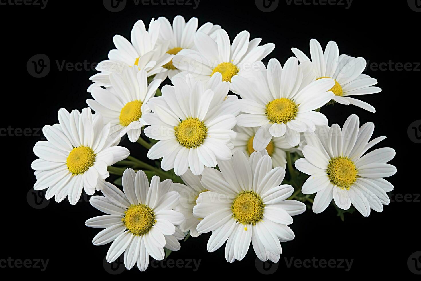 ai generiert Weiß Gänseblümchen Blumen. ai generiert foto