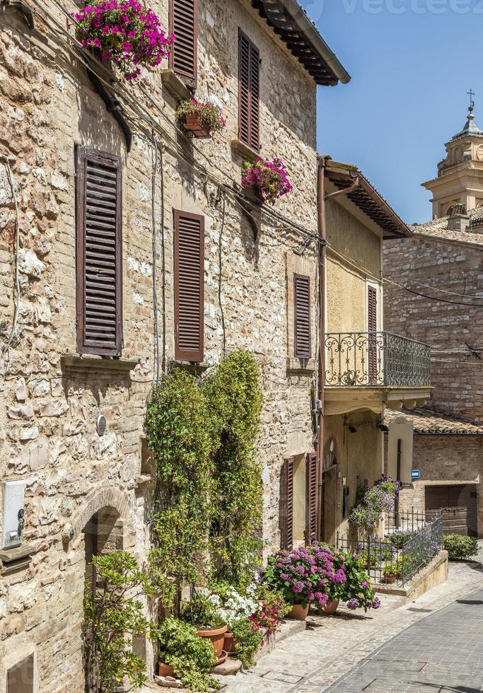 Blumen in der alten Straße im Dorf Spello. umbrien, italien. foto