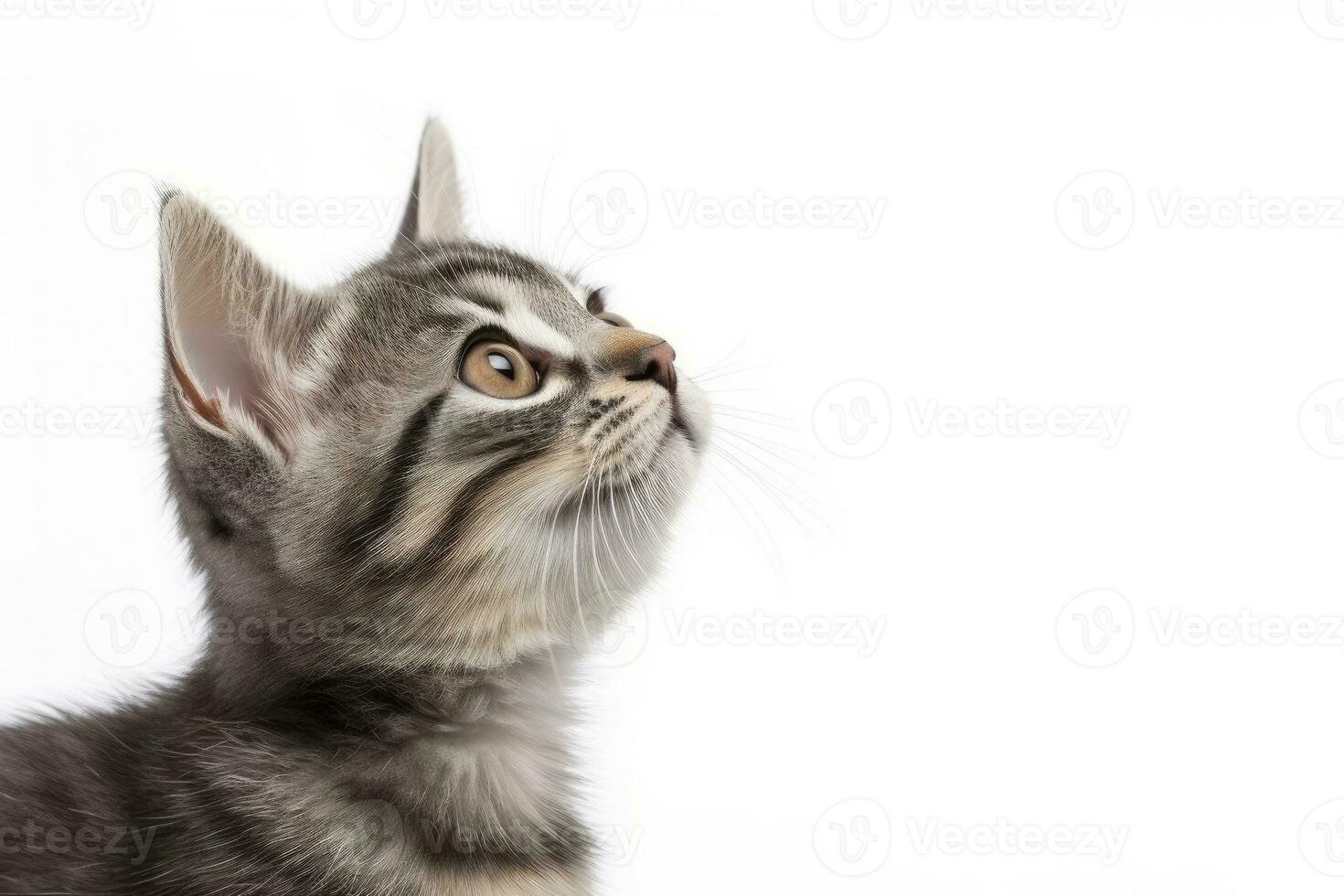 ai generiert spielerisch komisch Kätzchen suchen oben isoliert auf ein Weiß Hintergrund. ai generiert foto