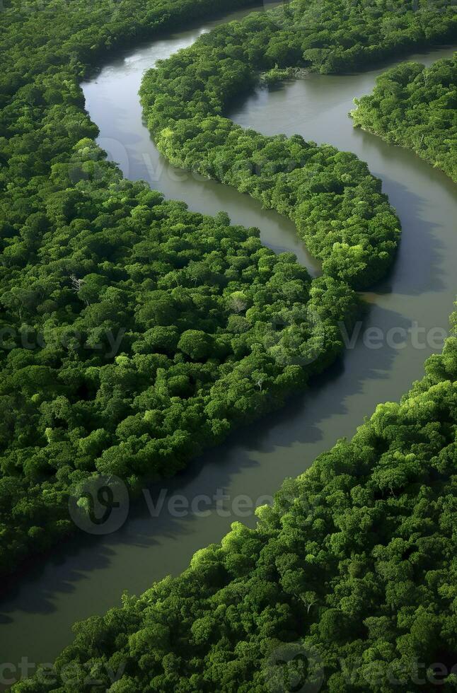 ai generiert Antenne Aussicht von das Amazonas Urwald Landschaft mit Fluss biegen. generativ ai foto