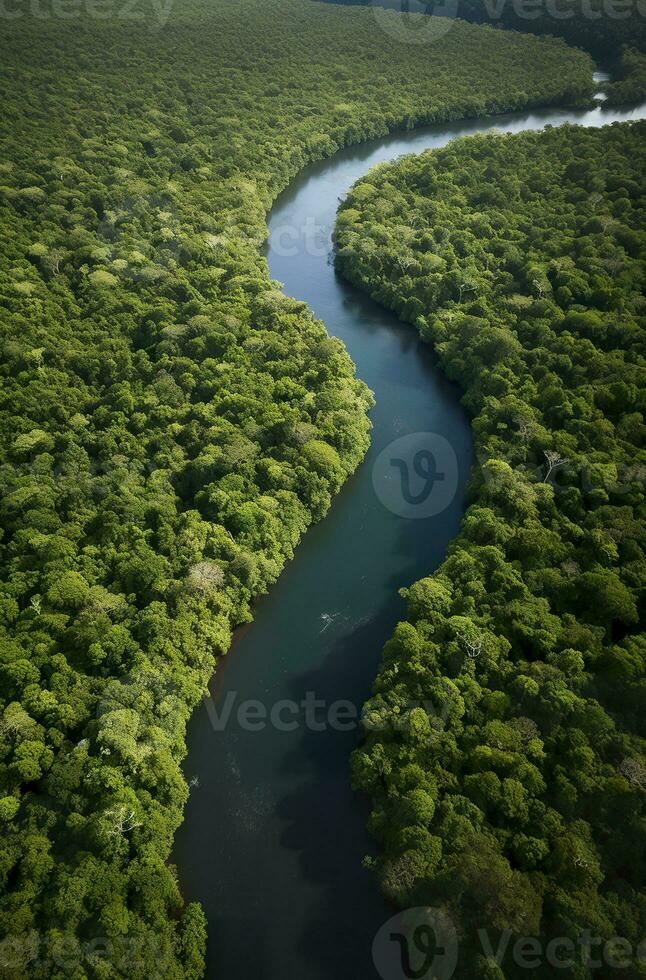 ai generiert Antenne Aussicht von das Amazonas Urwald Landschaft mit Fluss biegen. generativ ai foto