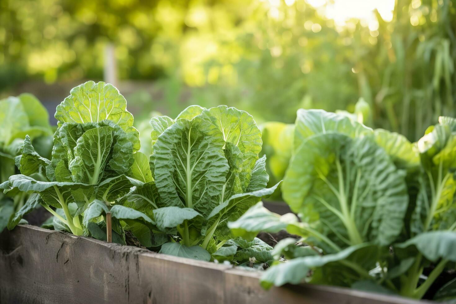 ai generiert frisch organisch Brüssel Sprossen wachsend im das Garten. wachsend besitzen Früchte, Gemüse. ai generiert foto