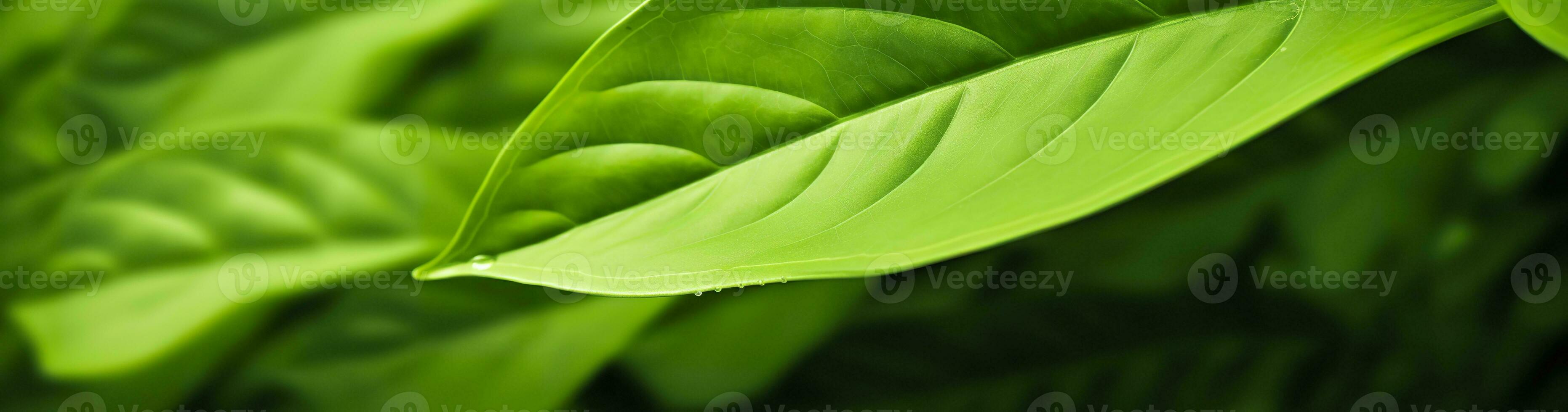 ai generiert Grün Blatt Natur Hintergrund. ai generiert foto