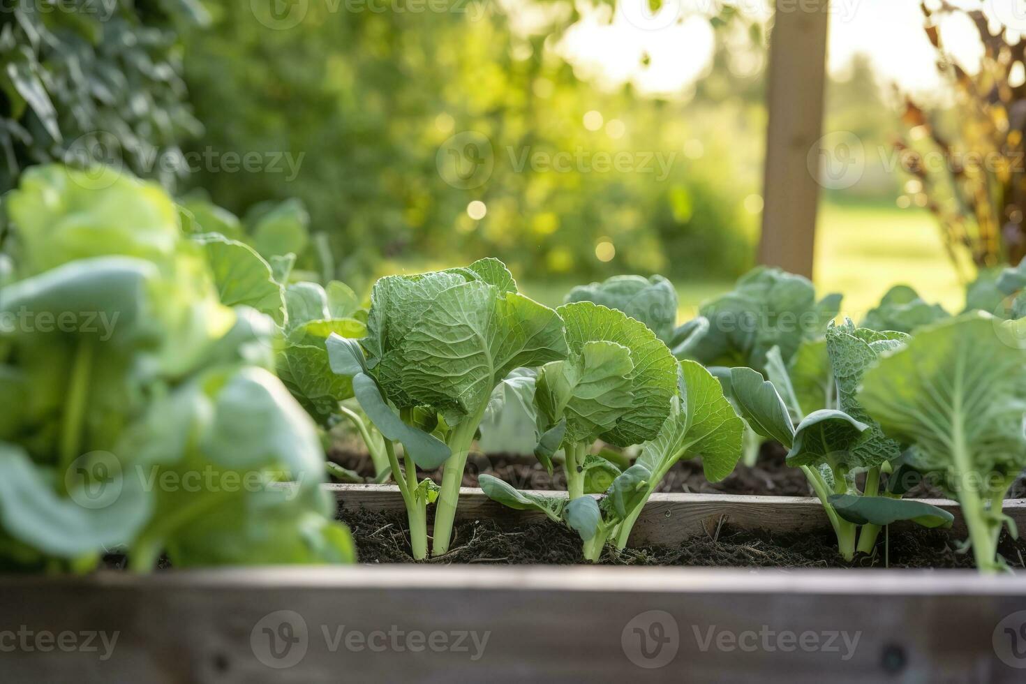 ai generiert frisch organisch Brüssel Sprossen wachsend im das Garten. wachsend besitzen Früchte, Gemüse. ai generiert foto