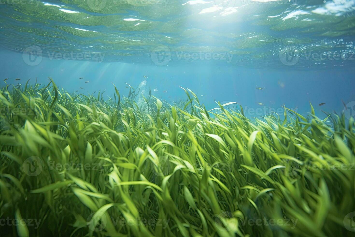 ai generiert unter Wasser Aussicht von ein Gruppe von Meeresboden mit Grün Seegras. ai generiert foto