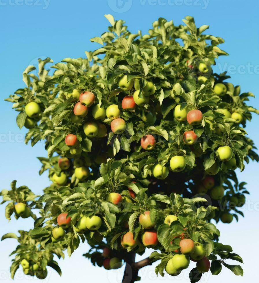 ai generiert ein schön Grün Apfel Baum. ai generiert foto