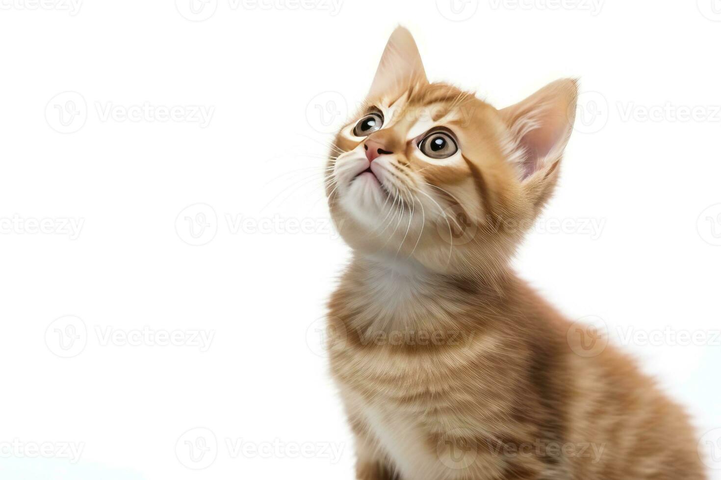 ai generiert spielerisch komisch Kätzchen suchen oben isoliert auf ein Weiß Hintergrund. ai generiert foto