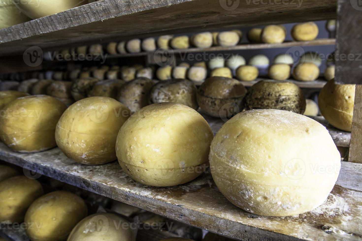 Käse im Reifekeller auf vertrauter Industrie in Brasilien foto