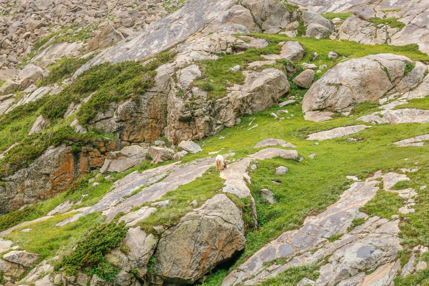 kumrat tal schöne landschaft bergblick foto