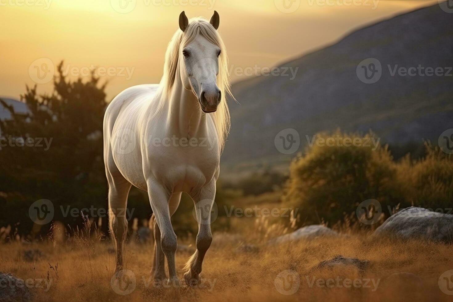 ai generiert Weiß Pferd oder Stute im das Berge beim Sonnenuntergang. ai generiert foto