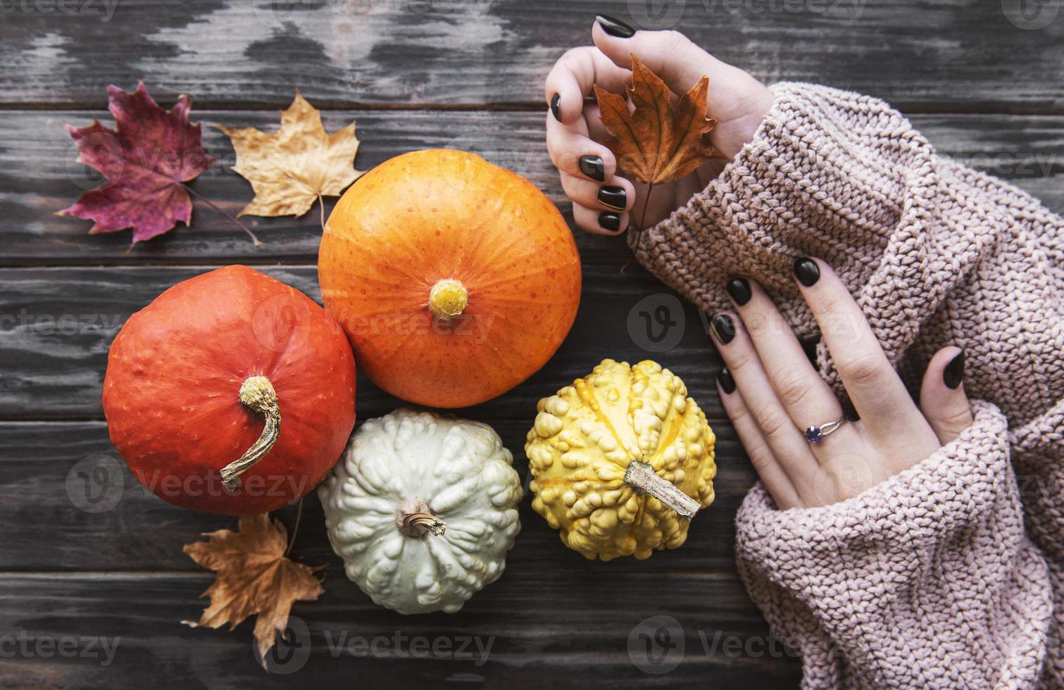 weibliche Hände, die Herbstkürbisse halten foto