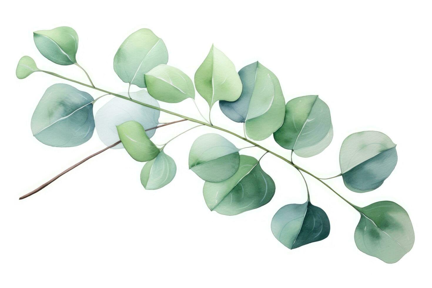 ai generiert Aquarell Eukalyptus Ast isoliert auf Weiß Hintergrund, Grün Blumen- Karte im Aquarell mit Silber Dollar Eukalyptus Blätter und Geäst isoliert auf ein Weiß Hintergrund, ai generiert foto
