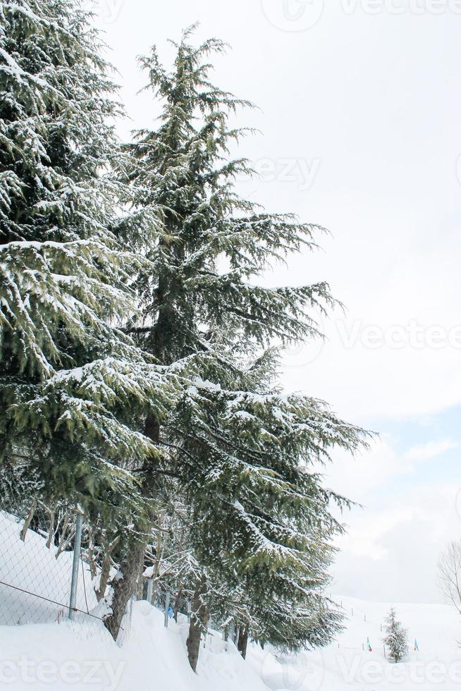 malam jabba und kalam swat landschaft landschaft foto